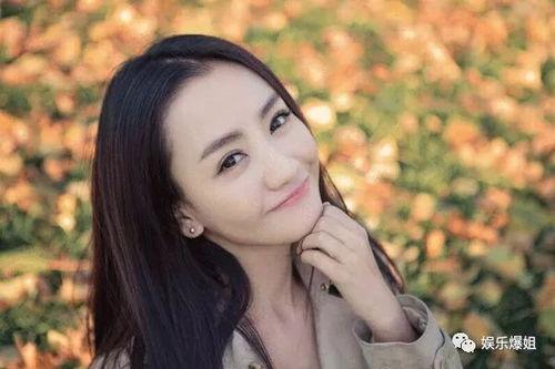 圈内爆料杨蓉李易峰,圈内爆料引热议